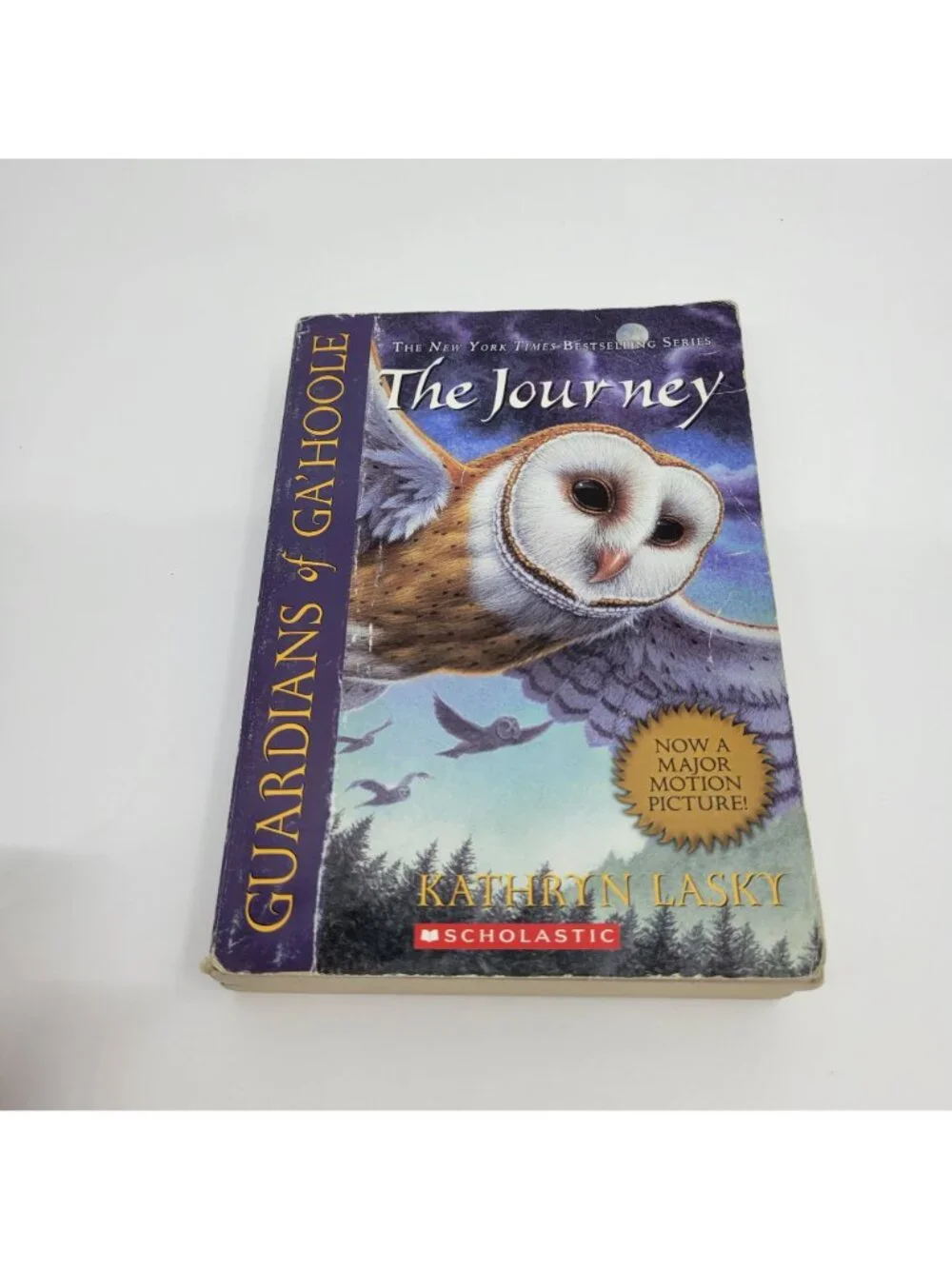 Guardians of Ga'Hoole by Kathryn Lasky Lot of Chapter Books - BK093